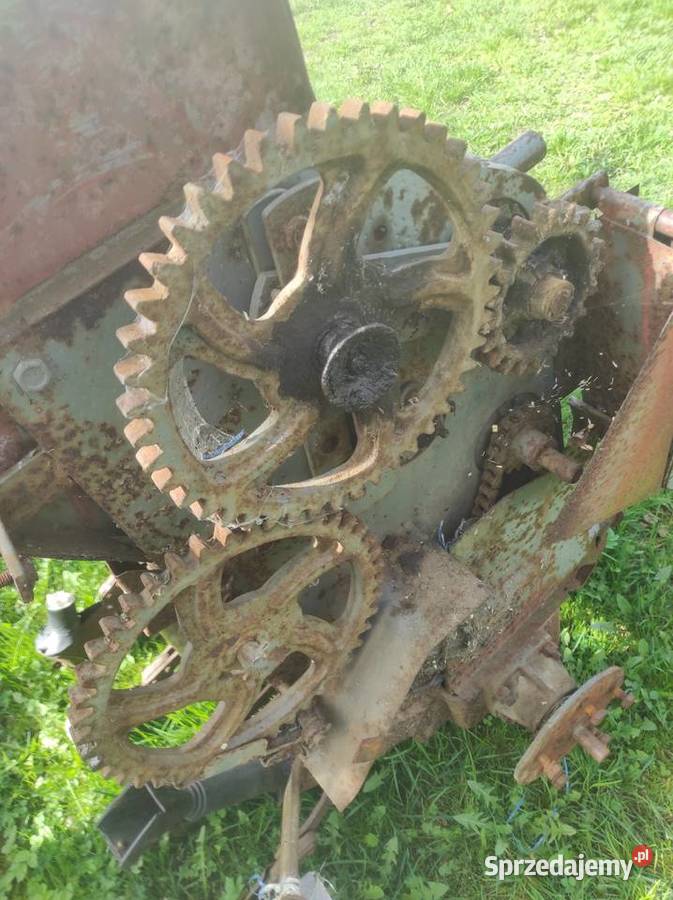 Oś kołapiasta przekładnia siewnik Poznaniak S043 Goleniów