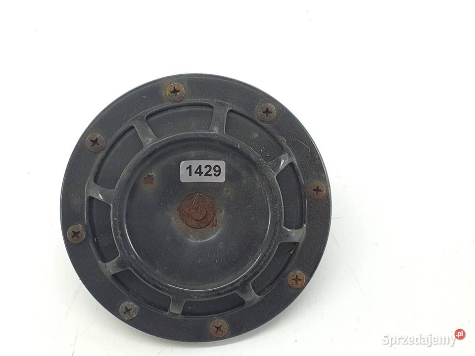 KLAKSON SYGNAL MAN LE IVECO SCANIA RENAULT Janowice sprzedam