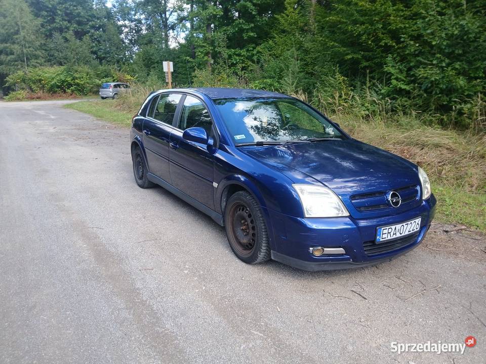 Opel Signum 18 LPG GAZ Kombi łódzkie Radomsko
