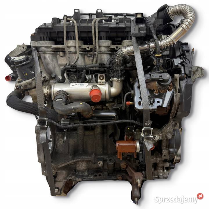 SILNIK KOMPLETNY G8DD Ford Focus II MK2 C C 16 Chełm