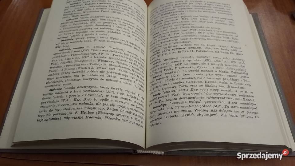 Polszczyzna Lwowa i Kresów PołudniowoWschodnich Rok wydania 1985 Gdańsk