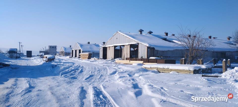 Sprzedam 220ha ziemi ze starą bazą dawnego PGR warmińsko-mazurskie Wągródka