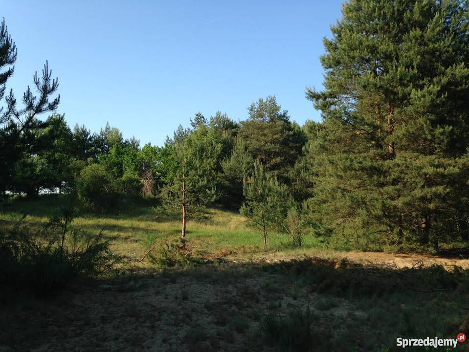 Sprzedam działkę budowlaną w lesie Bory Mszano