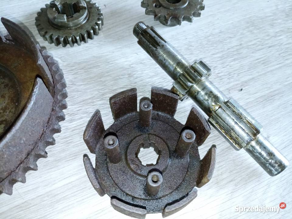 Panonia kosz wałek tryb zębatka podkarpackie Stalowa Wola