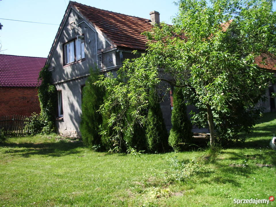 Dom Wińsko Domy dolnośląskie Wińsko