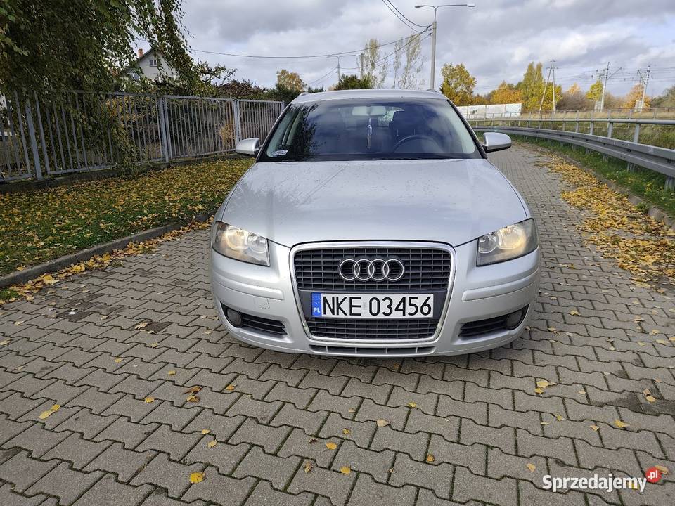 Audi A3 8p 20tdi Siedlce