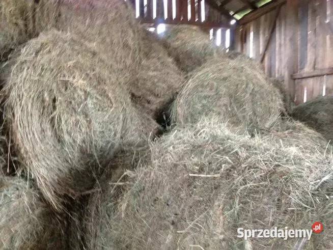 słoma x40 bele Wierzbica Trawy, słoma sprzedam