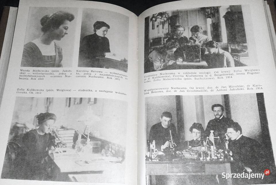 Józef Nusbaum Hilarowicz Gabriel Brzęk