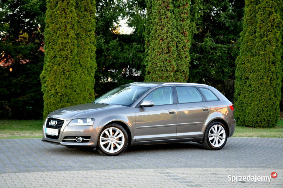 Audi A3 A3 Audi Ostrów Mazowiecka sprzedam