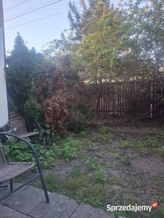Mieszkanie do wynajęcia mazowieckie Rembertów