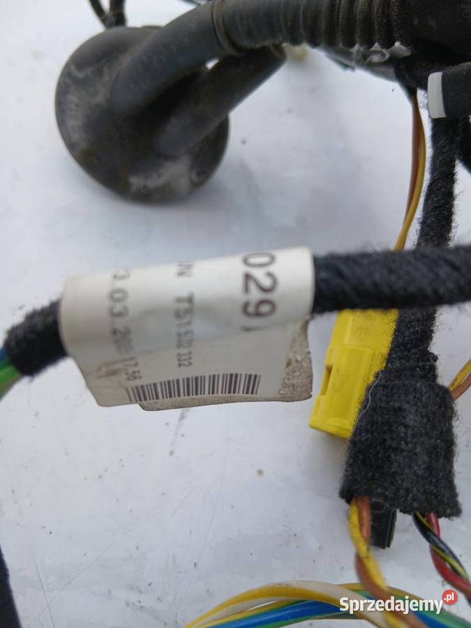 Audi A6 C6 Wiązka drzwi lewy przód 4F1971029 Szczerbice