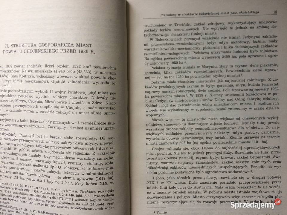 3702 Struktura Społeczno Demograficzna Ludności Szczecin