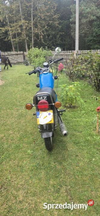 Mz