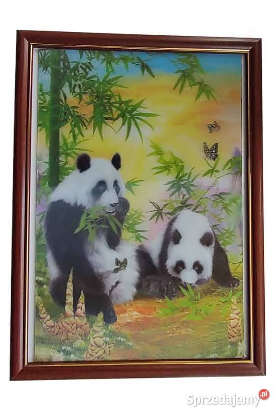 OBRAZ OBRAZEK 3 D W RAMCE PLEXI 20 X 30 Katowice