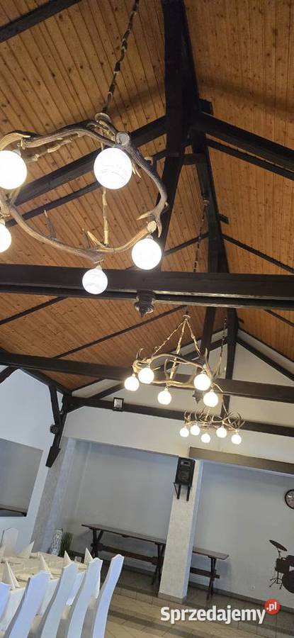 Żyrandole z poroża Zębowo