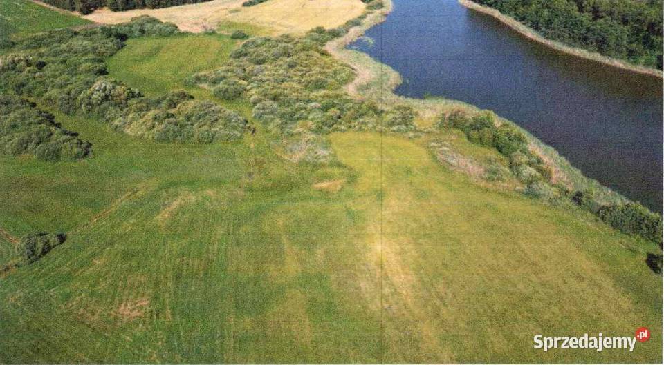 Udział 12 w nieruchomości niezabudowanej 12700ha Orzechówko
