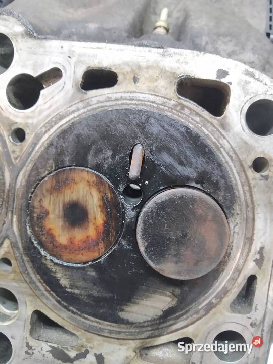 GŁOWICA KOMPLETNA 038103373R 19 TDI Seat Leon II