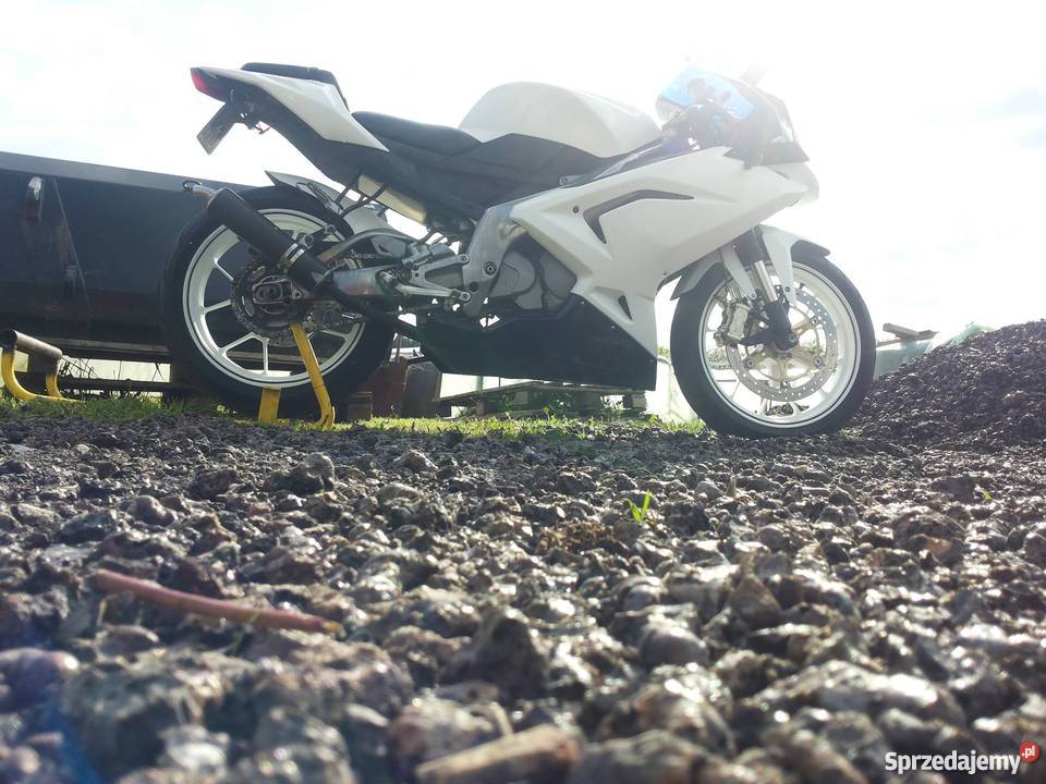 Aprilia RS 12550 Radom