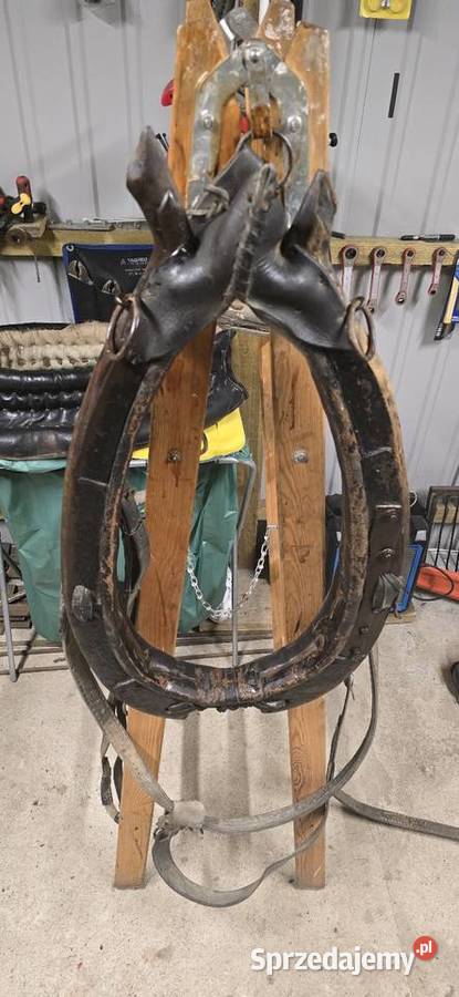 Chomonto skórzane łódzkie Pajęczno