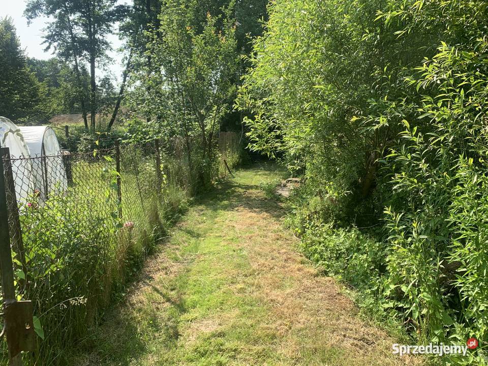 Sprzedam ogromna działka ROD 870m2 Gliwice