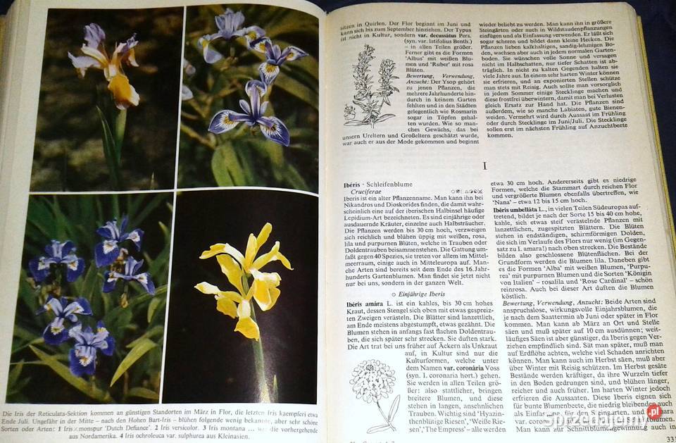 Gartenblumen von A bis Z Christian Grunert Rok wydania 1972 sprzedam