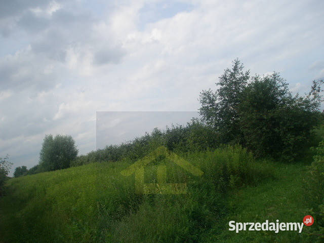 Działka w Nadbrzeżu