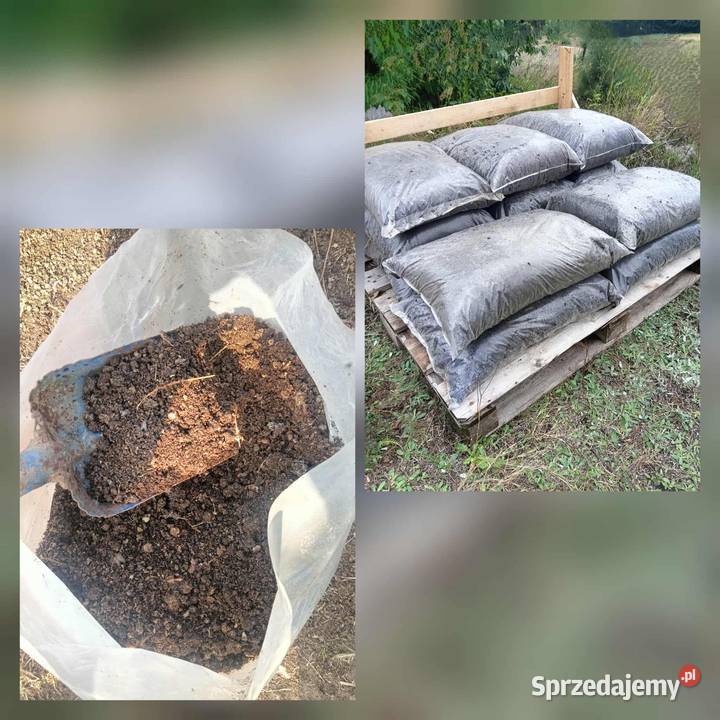 Czysty obornik kurzy bez słomy 15 500 1200 Iłża