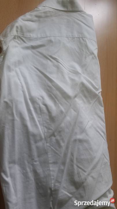 4344 182 XLXXL Calvin Klein koszula męska z Rozmiar XXL Odzież wyjściowa Kielce sprzedam