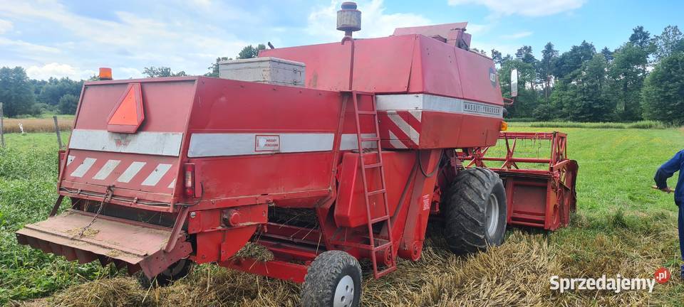 Massey Ferguson 487 Massey Ferguson małopolskie Brzesko