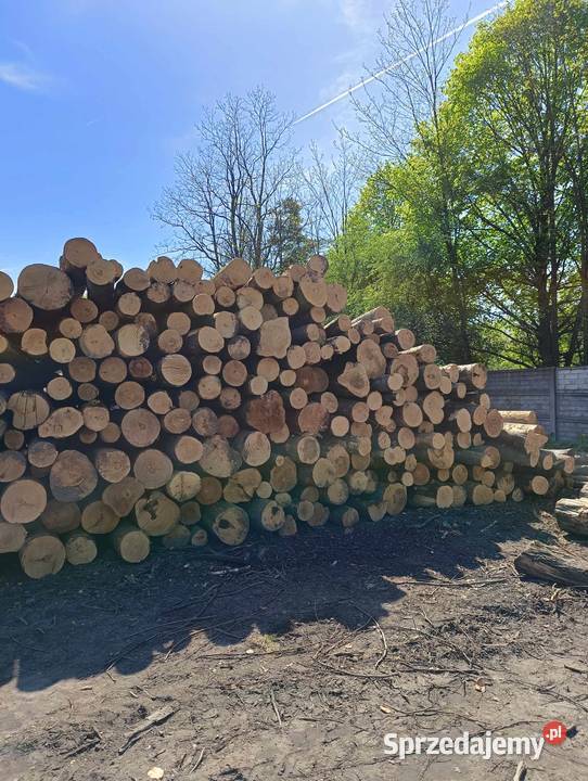 Drewno w wałkach S2A 250 Sosna Brzoza Dąb i Buk małopolskie Bolesław