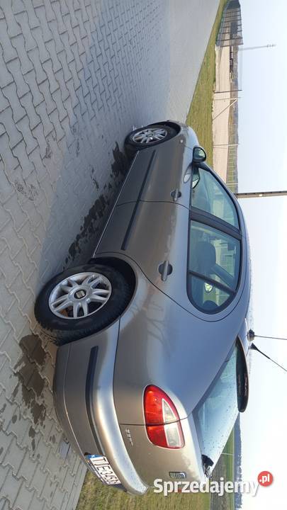 Seat Leon 19 świętokrzyskie Jędrzejów