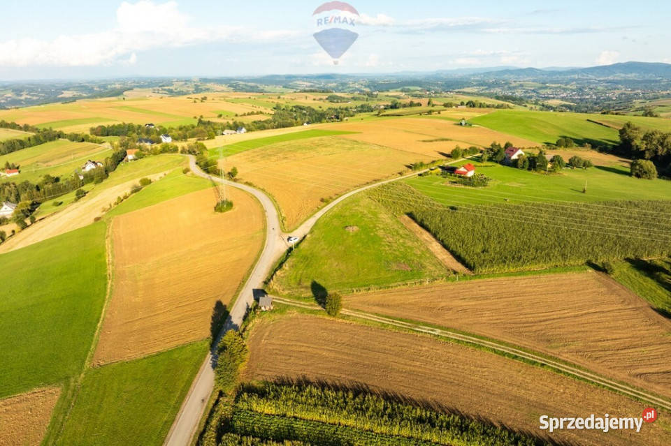 DZIAŁKA WIDOKOWA Z WZ FALKOWA GMINA CIĘŻKOWICE sprzedam