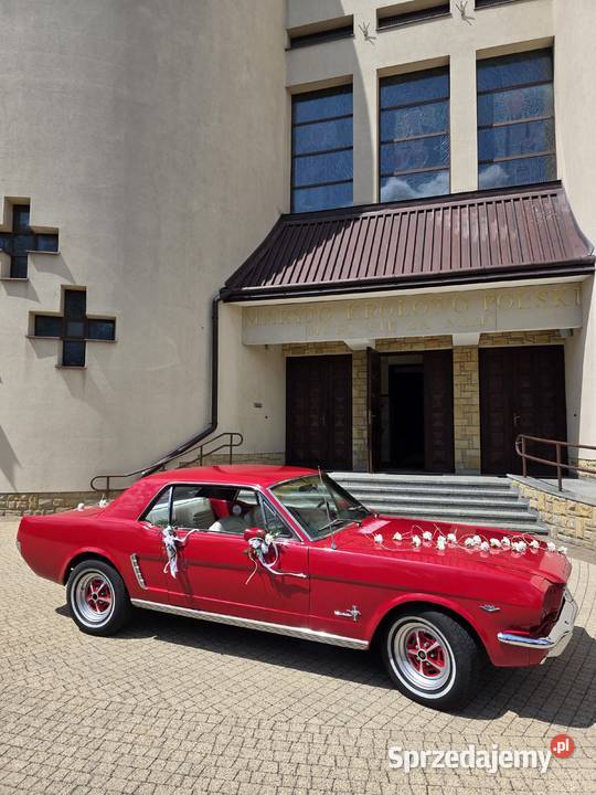 Ford Mustang 47 V8 1965r odrestaurowany Motoryzacja