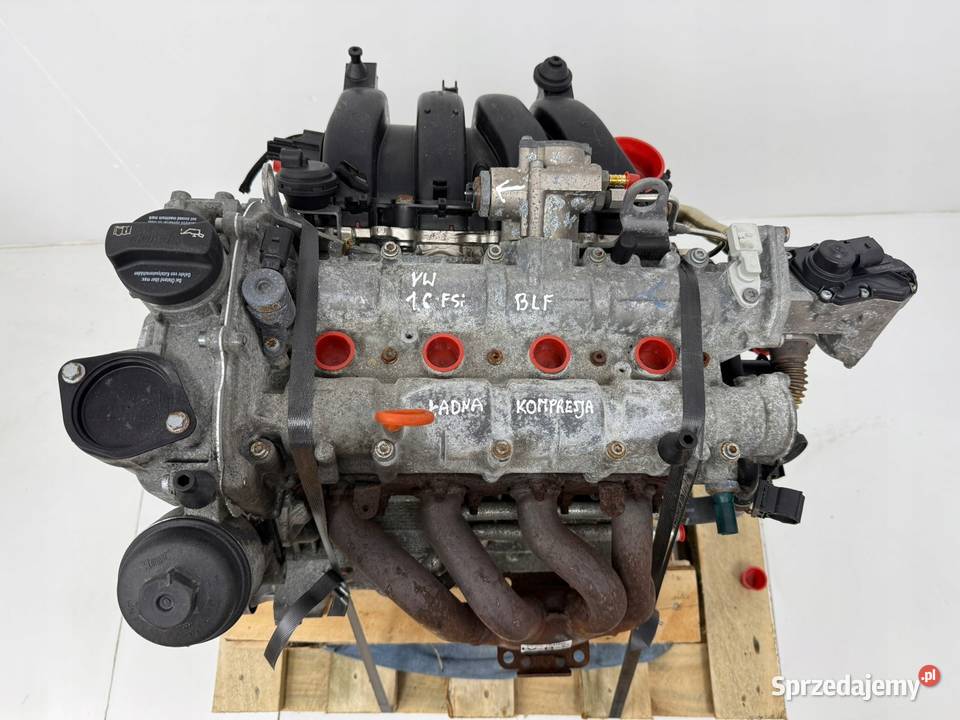SILNIK BLF VW Touran Golf V Eos Jetta III 16 FSI Chełm