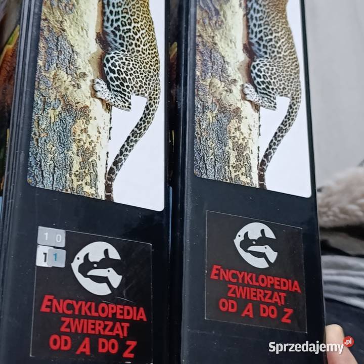 seria kolekcjonerska Encyklopedia Zwierząt A do wielkopolskie Poznań