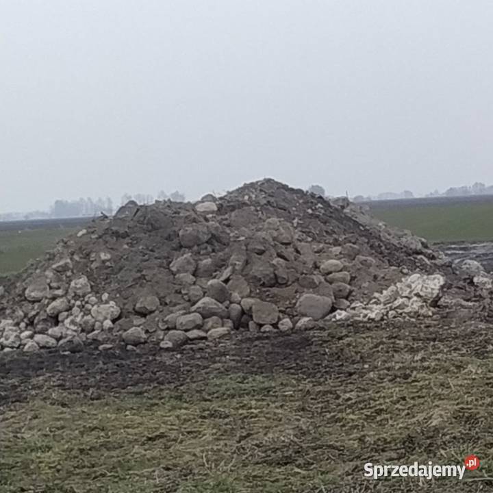 GRUZ kamień cegła ziemia wielkopolskie Pałczyn