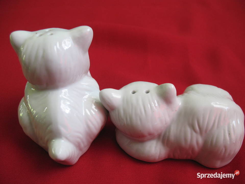 Sól i pieprz Kotki Solniczka i pieprzniczka Siedlce sprzedam