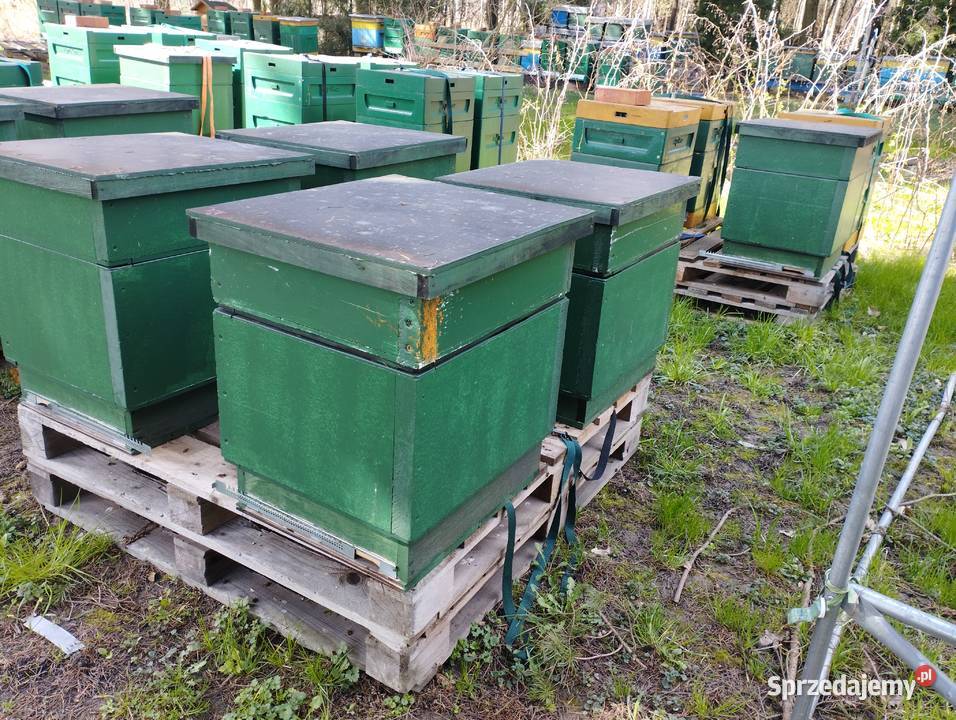 STYRODUR NA ULE Synthossrebrny 700Kpakr prosta lubelskie Kraśnik