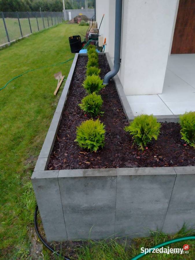 Ogród pielęgnacja budowa Komornica