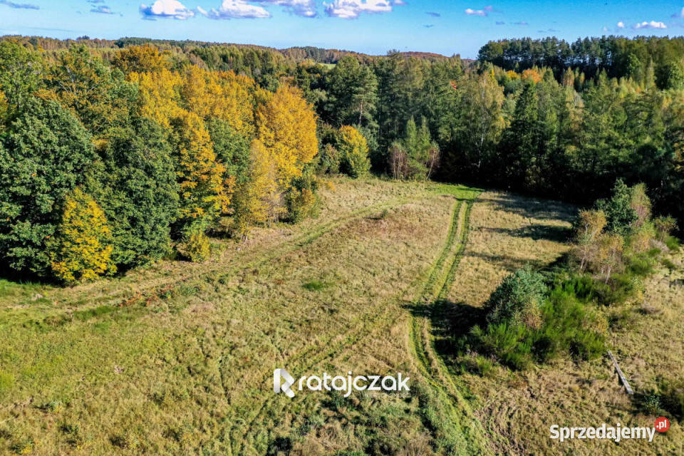 sprzedaży działki Zbychowo 8733m2 70m Sprzedaż