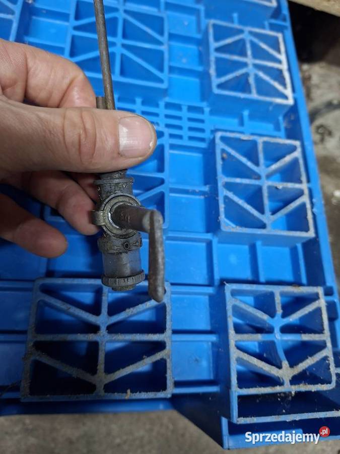 Kranik Wsk Sport Lelek Dudek Bąk zachodniopomorskie Koszalin