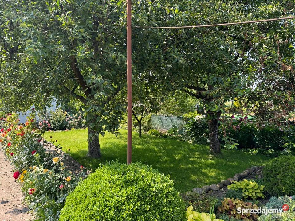 Ogrodek Dzialkowy ROD Jutrzenka 387m2 Gliwice