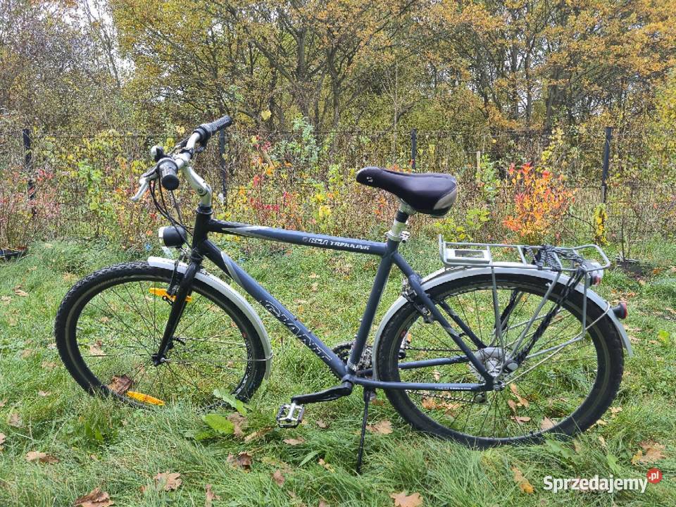 Giant GSR Trekking Wrocław