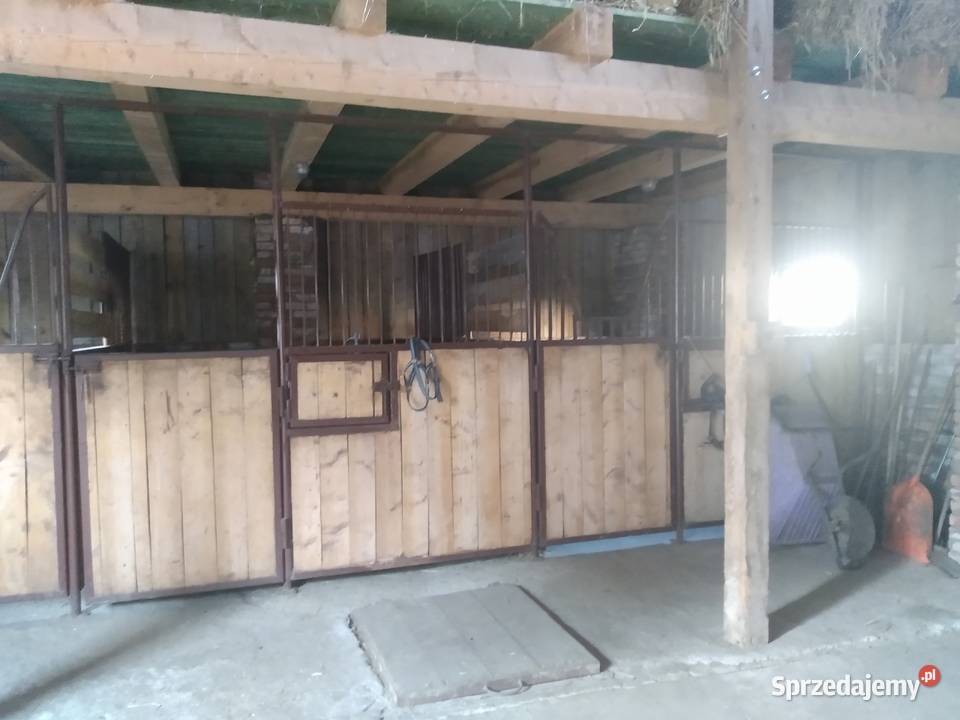 BOKSY KONI używane małopolskie