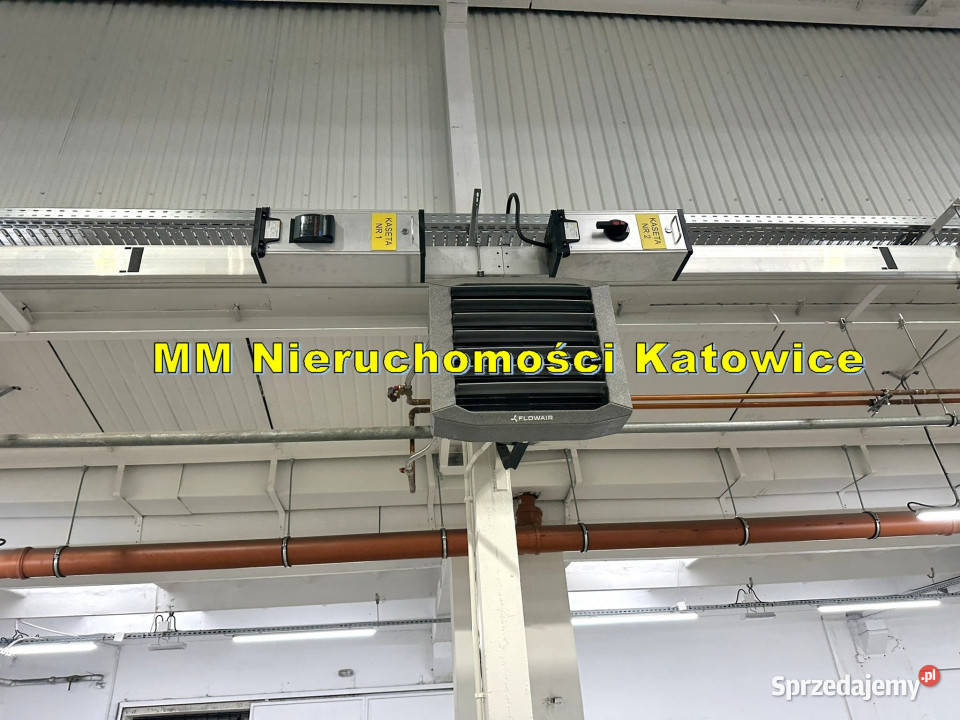 Hala do wynajęcia Katowice centrum plac biura 1240m2 sprzedam