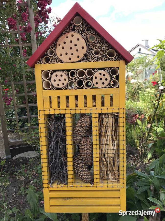 domek owadów 70 Sławno