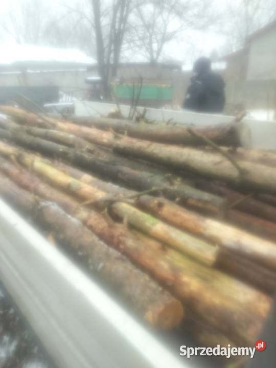 Stemple budowlane Miłochniewice