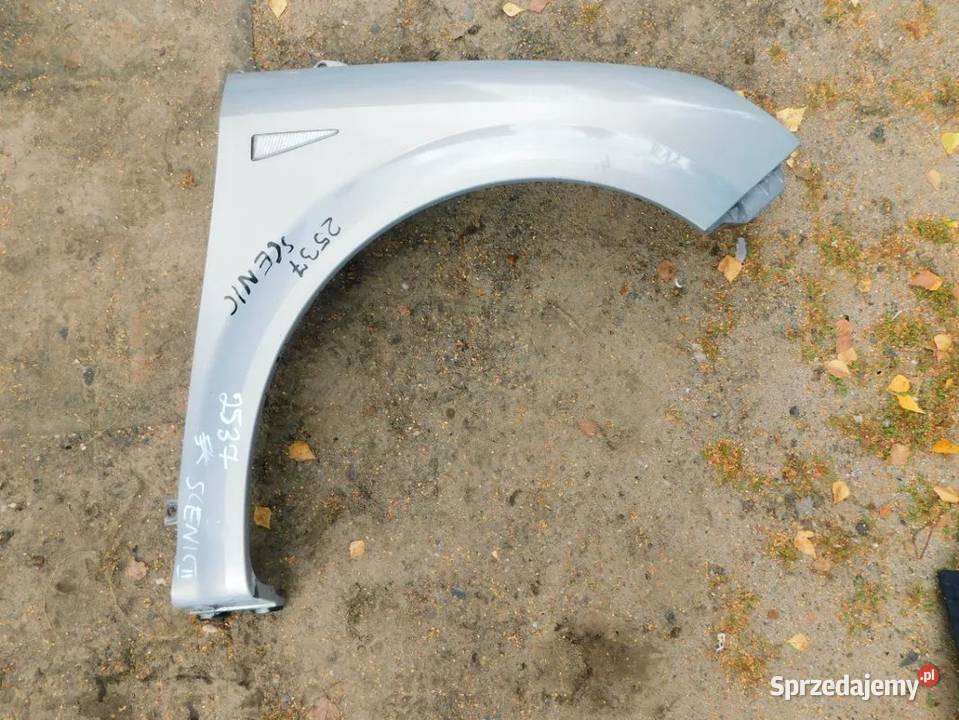 scenic II błotnik 2537 WYSYŁKA śląskie Żory