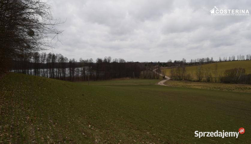 Działka Równe 14000m2 budowlana sprzedam