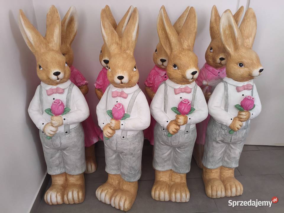 Zająć dziewczynka chłopiec XXL Dębica